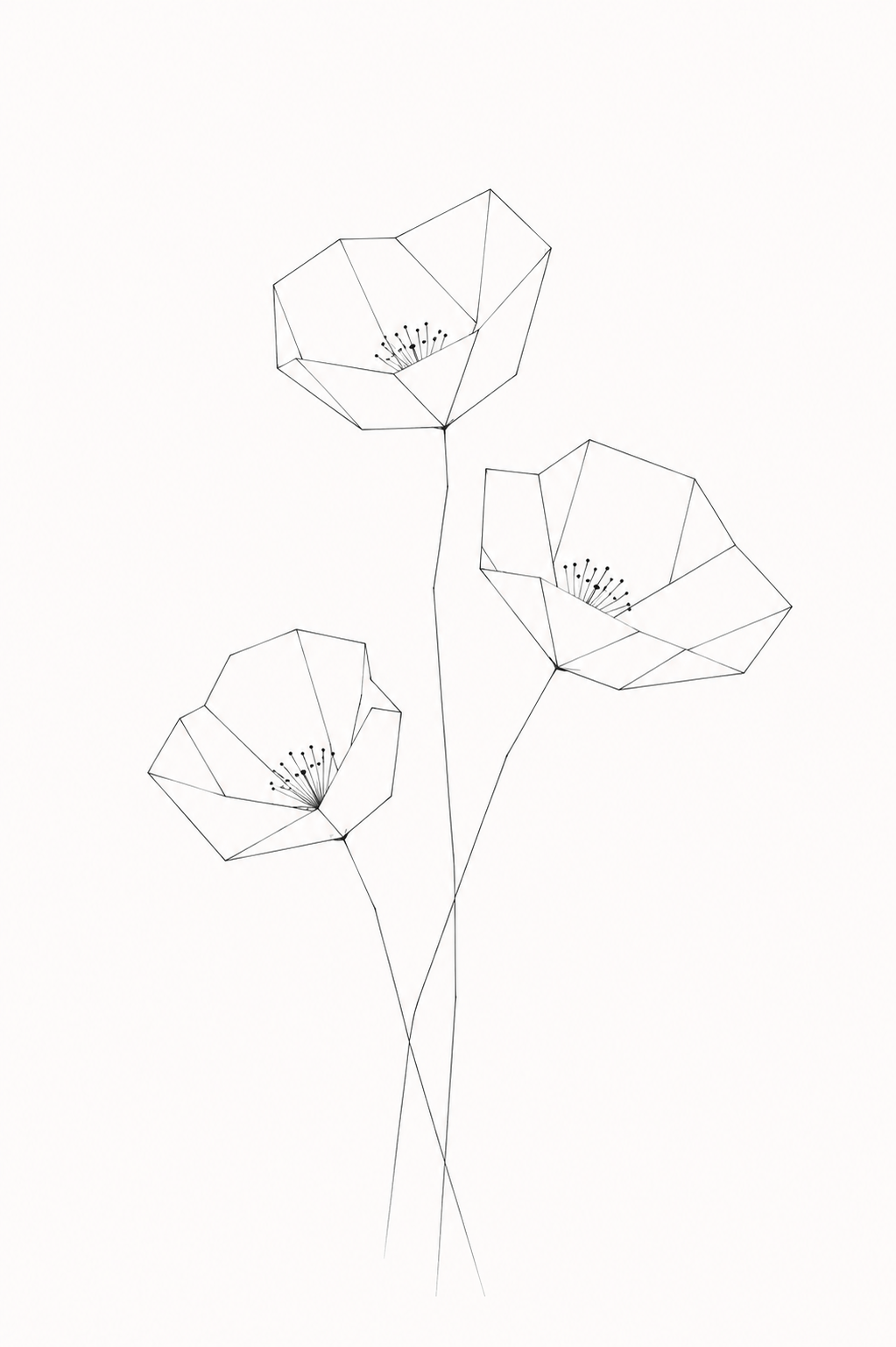 AMAPOLAS